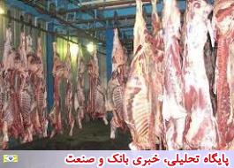 بیش از 1200 پرونده تخلف بازار گوشت به تعزیرات حکومتی ارسال شد